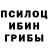 Галлюциногенные грибы Psilocybe anton terenya