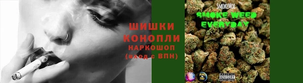 винт Осинники