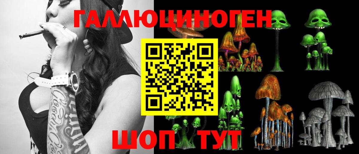 Псилоцибиновые грибы Psilocybe Рославль